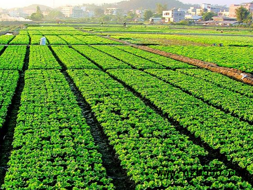 微信截圖_20210315195947