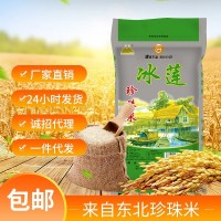 新米東北大米廠家直批珍珠米5kg圓粒10斤一件代發(fā)大米批發(fā)