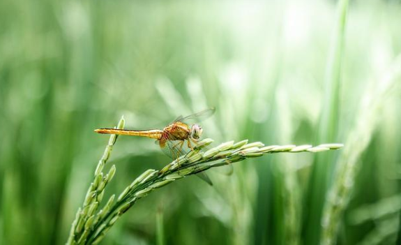 微信截圖_20210429161804