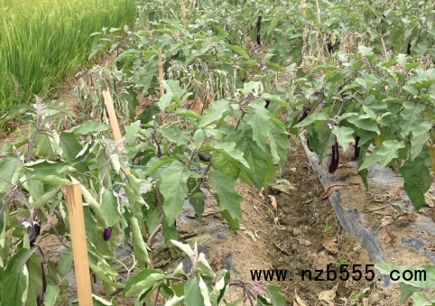 微信截圖_20210511205359