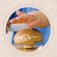 DETAN德添牛排菇 褐菇 早餐菇 購買請聯系，否則不發貨