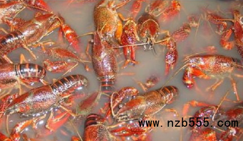 微信截圖_20210513175533