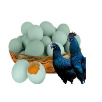 【韓氏惠康】皖北林下谷物綠殼土雞蛋40枚多種規(guī)格農家營養(yǎng)土雞蛋