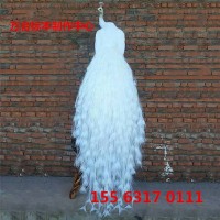 孔雀標(biāo)本哪里有賣(mài)的 一架藍(lán)孔雀標(biāo)本多少錢(qián) 出售孔雀標(biāo)本擺件