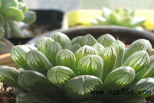 微信截圖_20211029105923