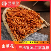 潤(rùn)曦堂 廠家批發(fā)定制貼牌干貨煲湯材料 孢子頭干蟲(chóng)草花