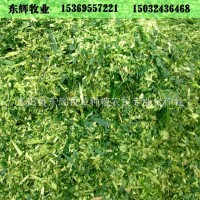 生物發(fā)酵飼料 奶牛粗飼料 玉米青儲飼料 大量食草性動物青貯飼料