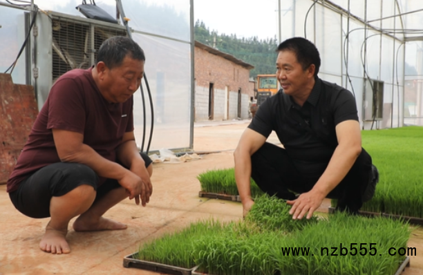 微信截圖_20220524112830