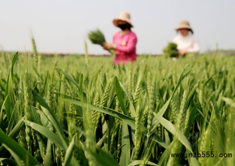 微信截圖_20220524113902