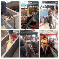 湖南自動化養(yǎng)豬設備 電動喂料車 養(yǎng)豬場喂料機 興達牧機