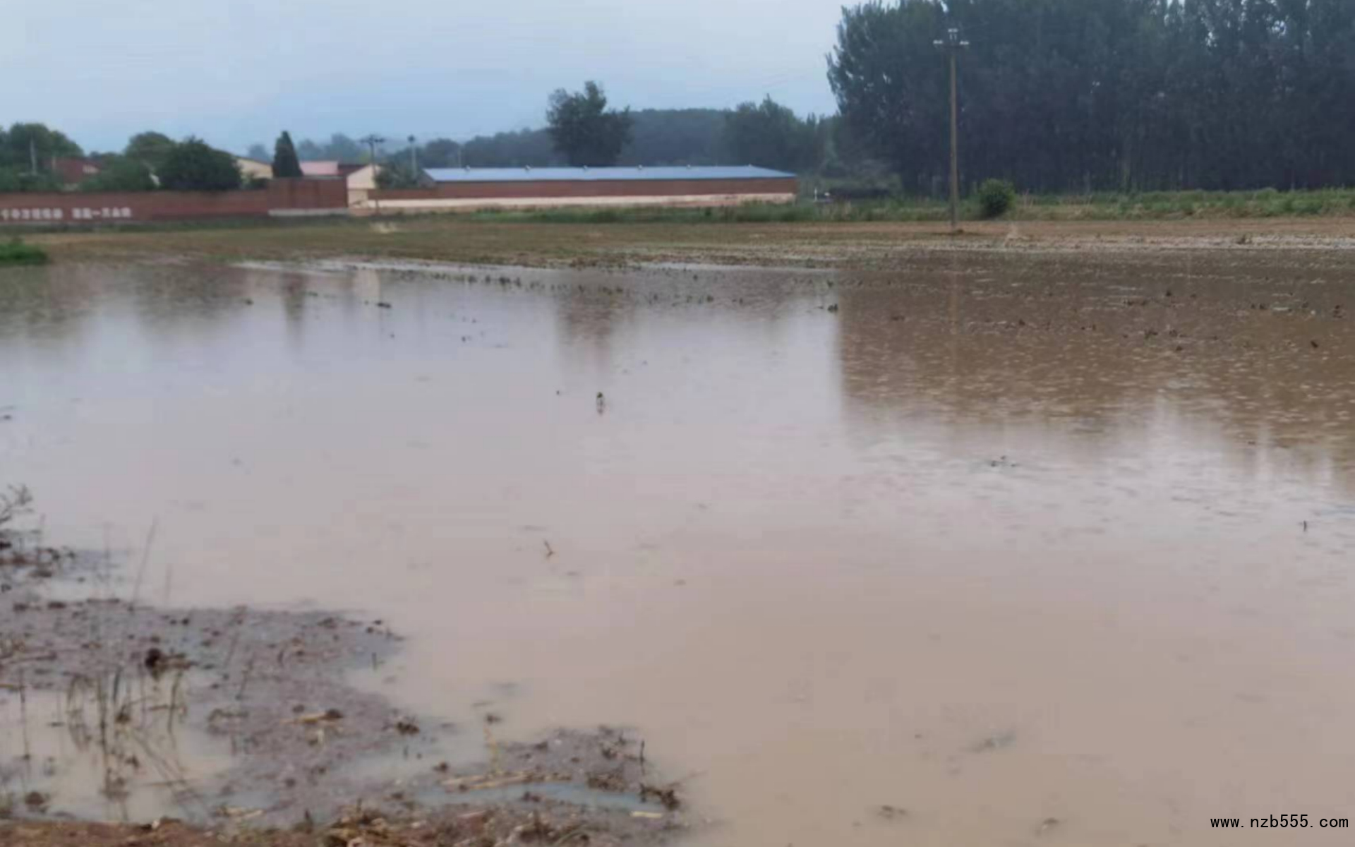 密云河南寨大豆種植地塊積水嚴重。北京市農業技術推廣站供圖