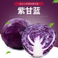 云南新鮮蔬菜紫甘藍紫包菜球生菜沙拉蔬菜生菜卷心菜椰菜現摘現發(fā)（價格面議）