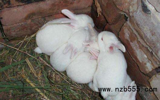 微信截圖_20220721100446