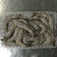 冷凍南美白對蝦，加工南美白對蝦，河北南美白對蝦，唐山南美對蝦