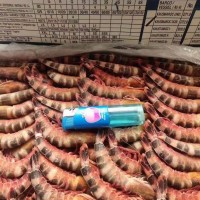 生凍貓虎蝦/斑節(jié)蝦，一盒4斤，一件6盒