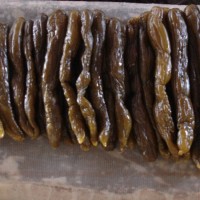 長期銷售鹽漬黃瓜 濰坊廠家出口鹽漬黃瓜 廠家現貨銷售