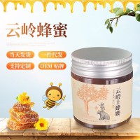 廠(chǎng)家供應(yīng)云南土蜂蜜土特產(chǎn)伴手禮云嶺蜂蜜瓶裝農(nóng)家峰蜜食品零食  2瓶起批