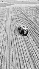 耕耘不輟， 闊步邁向農業強國