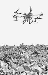 耕耘不輟， 闊步邁向農業強國