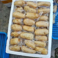 鮮天麻真空保鮮天麻一個一袋，酒店冰鎮(zhèn)天麻片，天麻食材長年供應(yīng)