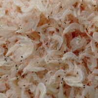 廠家直供天然烘干蝦皮 海味產品 流水線小蝦皮，【新品上市】
