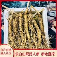 東北特產鮮參帶土鮮人參現挖現賣煲湯泡酒苔蘚泡沫箱包裝批發