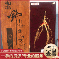 原產地直發林下參 禮盒證書人參山參 煲湯泡酒禮品林下參批發