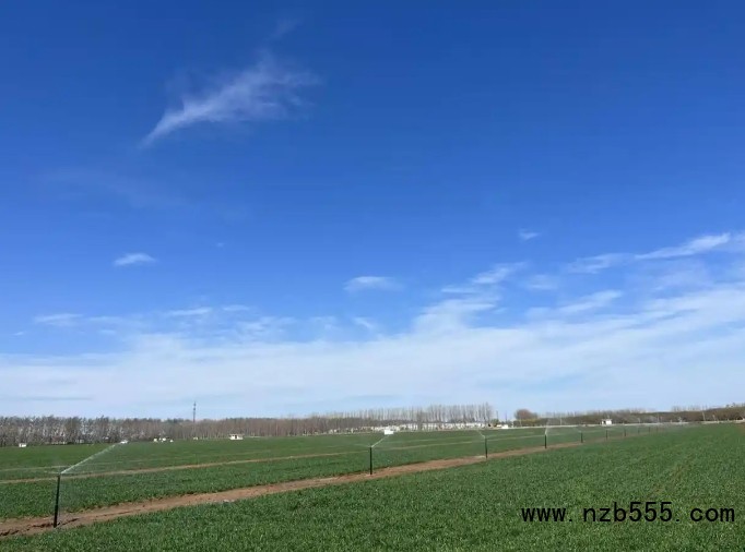 微信截圖_20250331165822