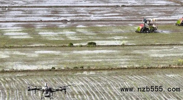 微信截圖_20250417163509