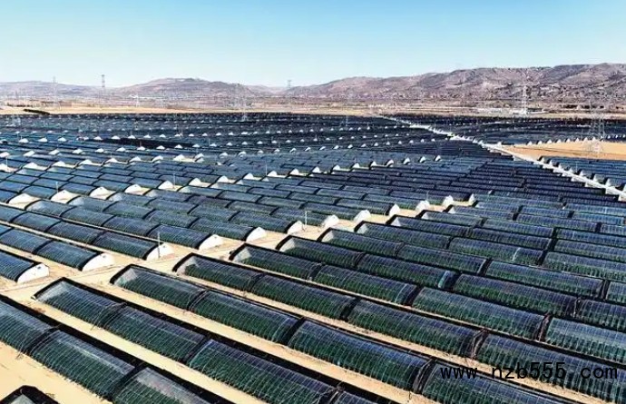 微信截圖_20250424163012