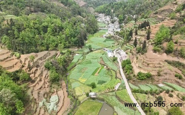 微信截圖_20250427170150