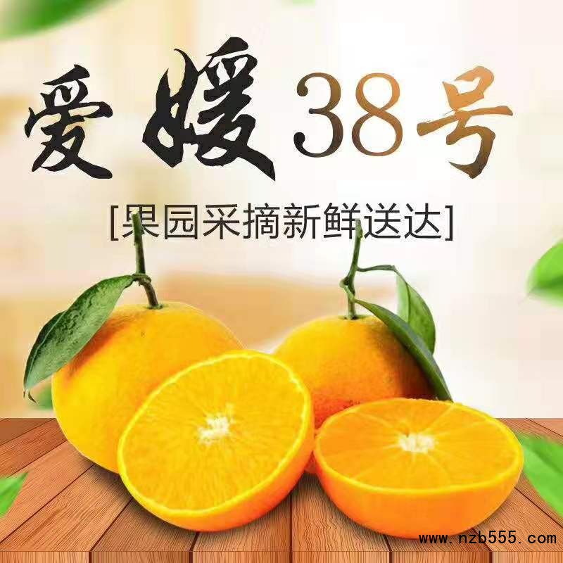 O1CN011tpsUa1XmTRPBIlxq_!!2200710532966-0-cib