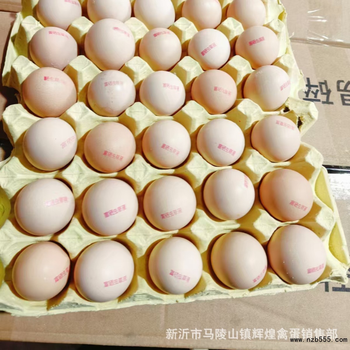 O1CN01bj74Sw1TELlrbknFx_!!2426842350-0-cib