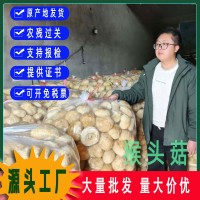 古田猴頭菇干貨粉猴頭菌原料剪根剪腳無硫散裝食用菌批發出口級