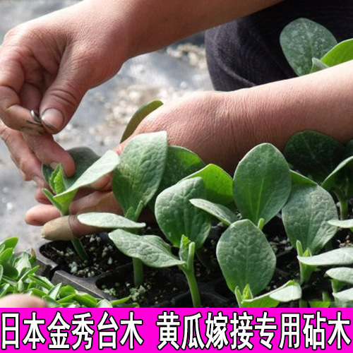 22462465126_1172358940