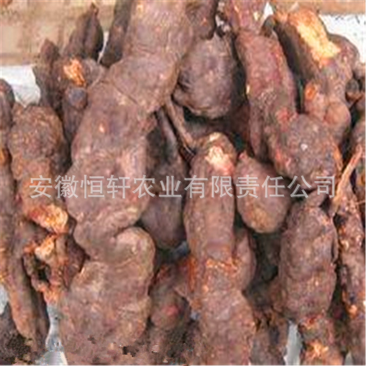 3142245798_480068301