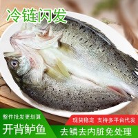 深海鱸魚海鱸魚批發新鮮開背鱸魚冷凍鮮活七星鱸魚海鱸魚商用批發