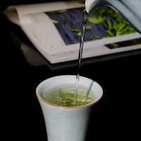 打卡新茶西安品茶工作室跟著茶師學鑒茶新手也能變行家