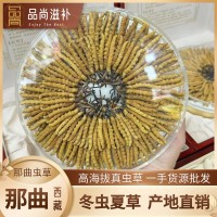 西藏那曲蟲草 高海拔頭期冬蟲夏草 曬干足干冬蟲夏草批發(fā)蟲草批發(fā)