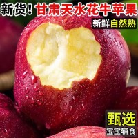 【越放越粉甜】花牛蘋果甘肅蛇果當(dāng)季新鮮粉面沙甜整箱10/5斤批發(fā)