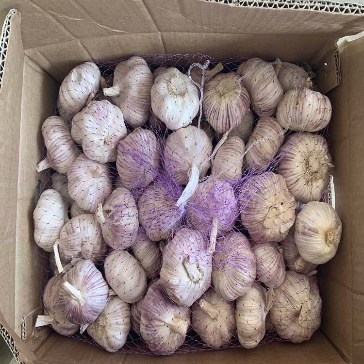 18319561974_2010317029