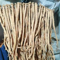 【康源】黨參個批發優質整條黨參優質貨源產地直供