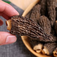 產(chǎn)地直供特產(chǎn)剪柄羊肚菌干貨食用菌菇煲湯年貨食材可批發(fā)代發(fā)