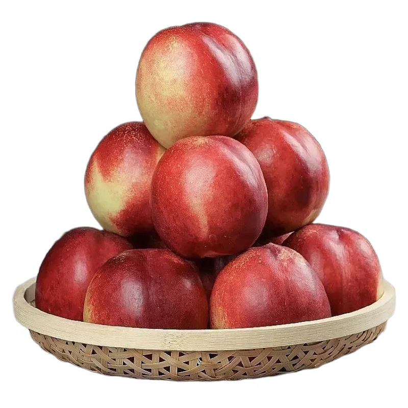 O1CN01By7MsE1hm9jFwbLZw_!!2212699224319-0-cib