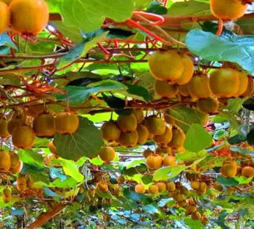 ScreenShot_2026-03-18_172037_998