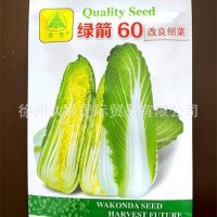 高品質(zhì)特好吃日本新型改良紹菜（龍牙白菜）種子-外葉綠口感甜美