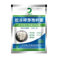 膠凍樣芽孢桿菌100億 農用微生物菌劑膠質芽孢桿菌解鉀菌肥料添加