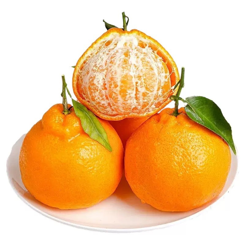 O1CN01bsCuHv1t4thKjDDjw_!!2200696375849-0-cib