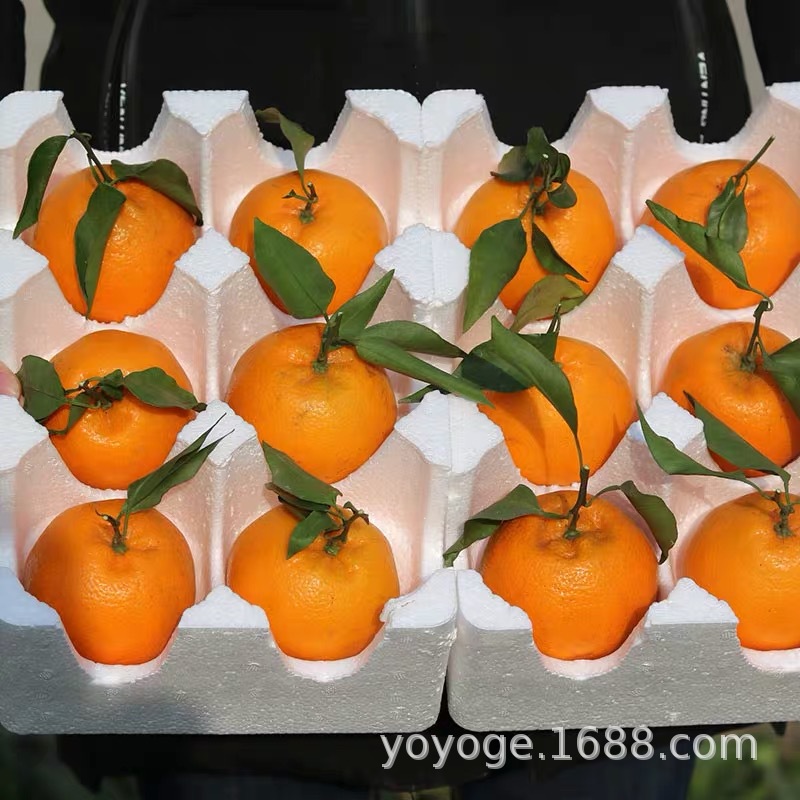 10455074627_672243297