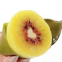 正宗四川紅心獼猴桃30枚奇異果新鮮水果孕婦當季彌猴桃整箱包郵